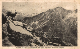 VALLE D'AOSTA - Stambecchi Al Parco Del Gran Paradiso - VG - #001 - Altri & Non Classificati