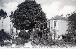 91  VERRIERES LE BUISSON   PROPRIETE DE MR DE VILMORIN  LES GODETS - Verrieres Le Buisson