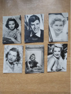 Filmsterren Movie Stars  Ciné  Echte Fotos 4 X  6 Cm   Belgian Chewing Gum  Sandra Dorne, ,Donna Reed, Betty Field.... - Andere & Zonder Classificatie