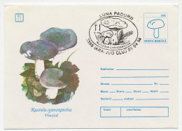 Postal Stationery Romania 1994 Mushroom - Champignons