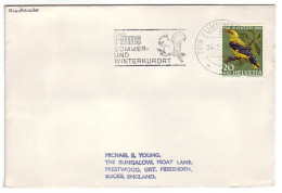 Cover / Postmark Switzerland 1970 Squirrel - Sonstige & Ohne Zuordnung