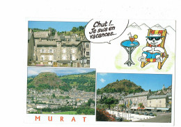 Cpm - [15] Cantal > Murat - Illustration Chat Verre Chaise-longue - Terrain Football - Publicité STELLA ARTOIS - Murat