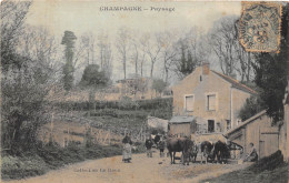 95-CHAMPAGNE- PAYSAGE - Champagne Sur Oise