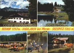 72057217 Vigiljoch Gasthof Seehof Seespitz Schwarze Lack Enten Haflinger Lana Me - Autres & Non Classés