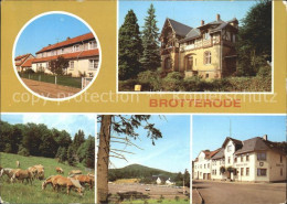 72057212 Brotterode Siedlerstrasse Jugendherberge Haflinger Grosser Inselsberg G - Other & Unclassified