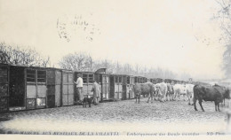 CPA. [75] > PARIS > Marché Aux Bestiaux De La Villette - Embarquement Des Boeufs Invendus - (XIXe Arrt.) - 1912 - BE - District 19