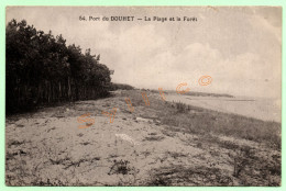 54. PORT DU DOUHET - LA PLAGE ET LA FORÊT (17) - Ile D'Oléron