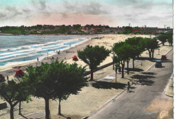 Carte Postale Colorisée - Royan - Vue Générale De La Plage - Royan