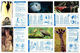 Nestlé 99/00 MERVEILLES Du MONDE - Animaux Divers 2 - SBP - Other & Unclassified