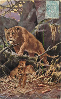 - Thèmes Div -ref-WW70- Animaux - Lions -  Lionne - Lionnes - Illustrateurs Signés - - Leeuwen