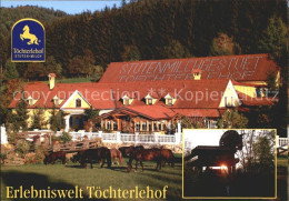 72056069 Feistritz Anger Toechterlehof Pferd Feistritz Anger - Autres & Non Classés