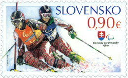 557 Slovakia Winter Paralympic Games Sotchi 2014 Skiing - Winter 2014: Sotchi