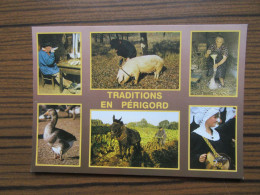 Traditions En Périgord   Oies Cochons   Ect... - Other & Unclassified