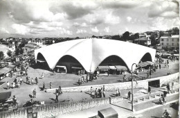 Carte Postale - Royan - Le Marché - Royan