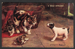 Animauls > Cats Chats - C.P.A. Postmarked 1908 With A US Stamp -The Mother And Her 3 Baby Agains A Small Dog - Chats