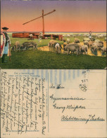 Hortobagy Hortobágy Haide, Schweineherde Typen Magyar Ungarn 1921 - Hongrie