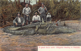 Panamá - A Good Day's Work - Alligator Hunting - Publ. Unknwon  - Panama