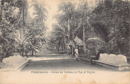 Mauritius - PAMPLEMOUSSES - Avenue Du Tombeau De Paul Et Virginie - Ed. Inconnu  - Maurice