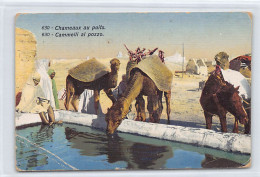 TUNISIE - Chameaux Au Puits - Cammelli Al Pozzo - Ed. Lehnert & Landrock 630 - Tunesien