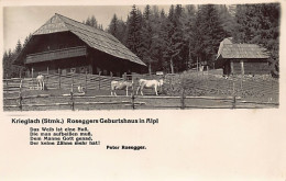 Österreich - Krieglach (ST) Peter Roseggers Geburtshaus In Alp - Krieglach