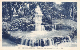 Algérie - SIDI BEL ABBÈS - Cascade Du Jardin Public - Ed. L.L. Lévy 39 - Sidi-bel-Abbes