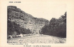 RHOUFI - Dans L'Aurès - Le Canon De L'Oued El Abiod - Sonstige & Ohne Zuordnung