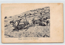 Palestine - Bedouin Shepherd And His Flock - Publ. Unknown  - Palestine