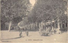 BLIDA - Avenue De La Gare - Blida