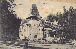 Romania - SINAIA - Castelul Pelisor - Ed. Depozitul Universal Saraga  - Romania