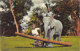 Sri Lanka - Ceylon Elephant At Work - Publ. Plâté Ltd. 41 - Sri Lanka (Ceylon)