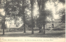 Montivilliers - Un Coin Du Champ De Foire - Les Vieux Murs - Montivilliers