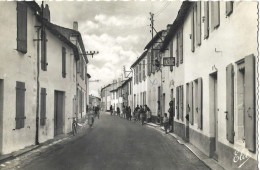 Carte Postale - Ile De Ré - Le Bois - La Rue Vers La Couarde Et Ses Pittoresques Maisons Blanches - Ile De Ré