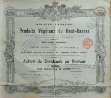 Produits Végétaux Du Haut-Kassaï - Action De Dividende - 1895 - Africa