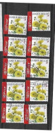 België,B55, - Used Stamps