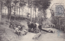 FLOBECQ - Lumen - Transport Du Bois - Flobecq - Vloesberg