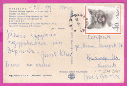 294384 / Poland - WARSZAWA - Barokowa Kolumna Zygmunta III PC 1964 USED 40 Gr. Felis Domestica Cat Chats Kot Europejski - Storia Postale