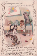 Carte Postale CHATS - Cats