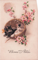 Carte Postale CHATS - Chats