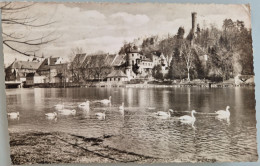 1962.Die Neuen Herren Auf Dem Lech Unter Dem Jungfernturm Vor Landsberg - Landsberg