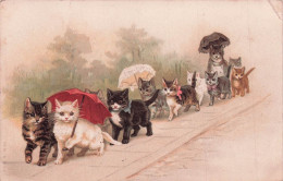 Carte Postale CHATS - Chats