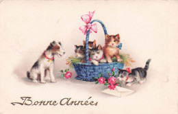 Carte Postale CHATS - Chats