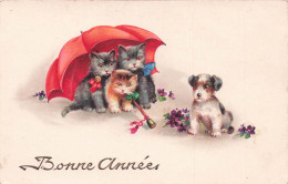 Carte Postale CHATS - Chats