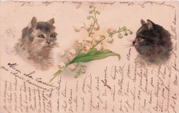 Carte Postale CHATS - Chats