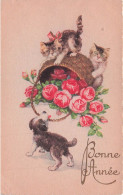 Carte Postale CHATS - Chats