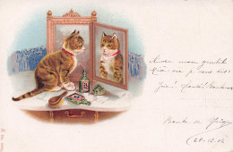 Carte Postale CHAT - Cats