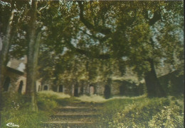 Collobrières - Chartreuse De La Verne - Le Grand Cloître - Photo F. Bouillot - (P) - Collobrieres