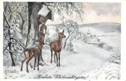 CHRISTMAS, HOLIDAY, CELEBRATION, ARCHITECTURE, DEER, BIRD, SIGNED, AUSTRIA, POSTCARD - Andere & Zonder Classificatie