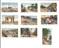 DQ77 - IMAGES ADOLPHE ANCEL - ALGERIE - TIMGAD - BISKRA - Altri & Non Classificati