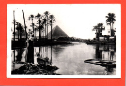 CAIRO LE CAIRE FLOOD TIME NEAR PYRAMIDS INONDATION PRÈS DES PYRAMIDES   Egypte (2 Scans) 21711 - Caïro