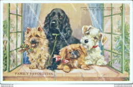 Cb487 Cartolina Tematica Cani Dog Family Favourites Cairn Terrier Puppies - Other & Unclassified